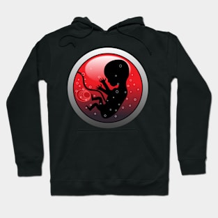 a valetines day, valentine’s gift Hoodie